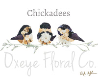 Chickadees