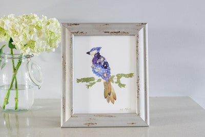 Bluejay