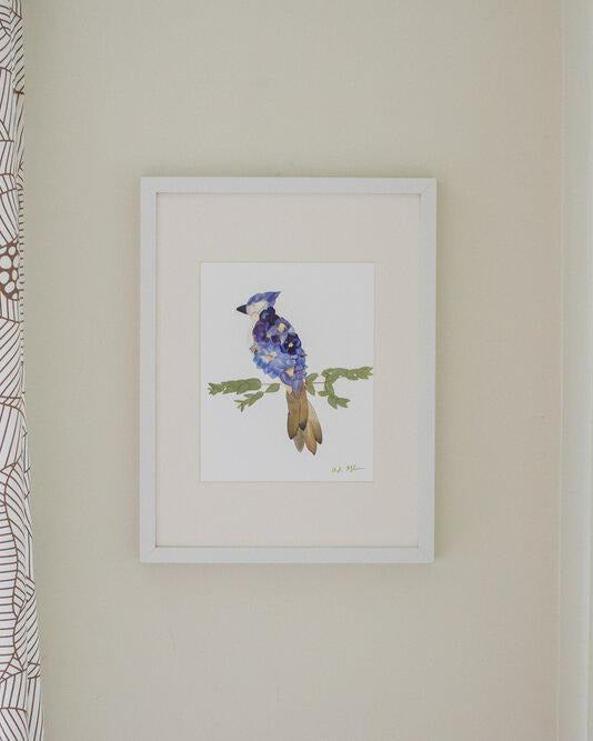 Blue jay