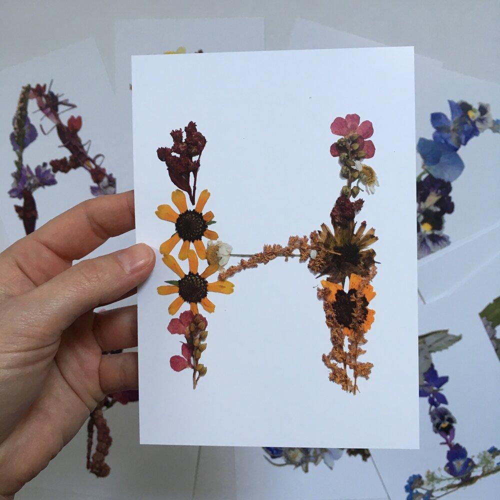 Alphabet Flash Cards