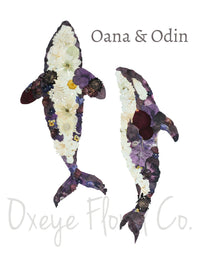 Orcas