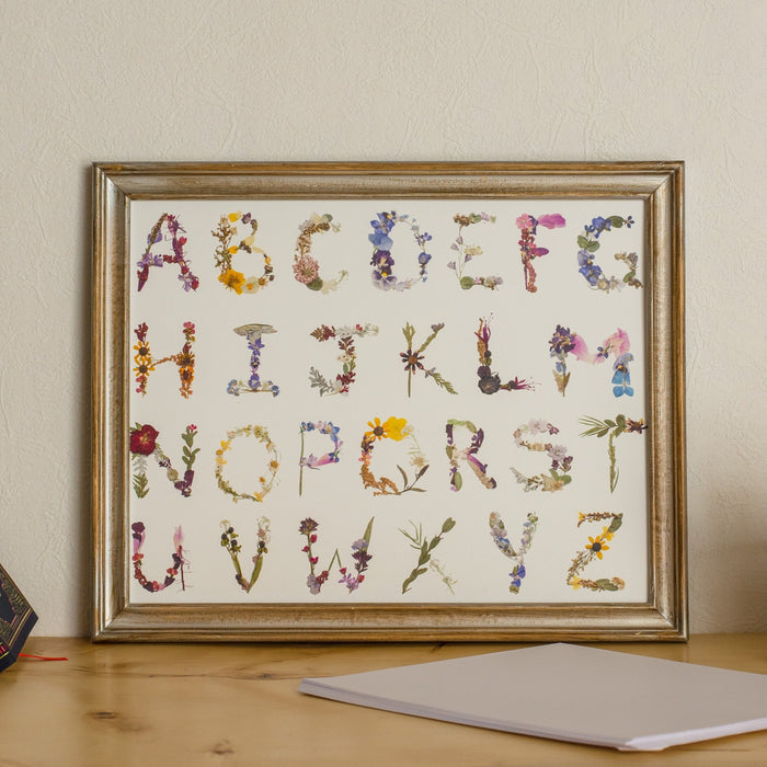 Alphabet