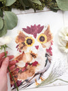 Owls