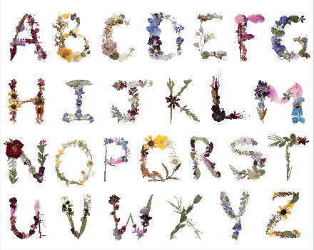 Alphabet