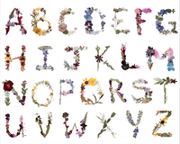 Alphabet