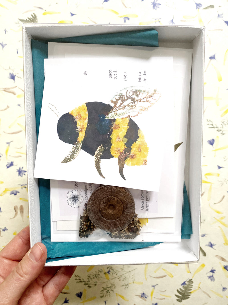 DIY Kids Kit