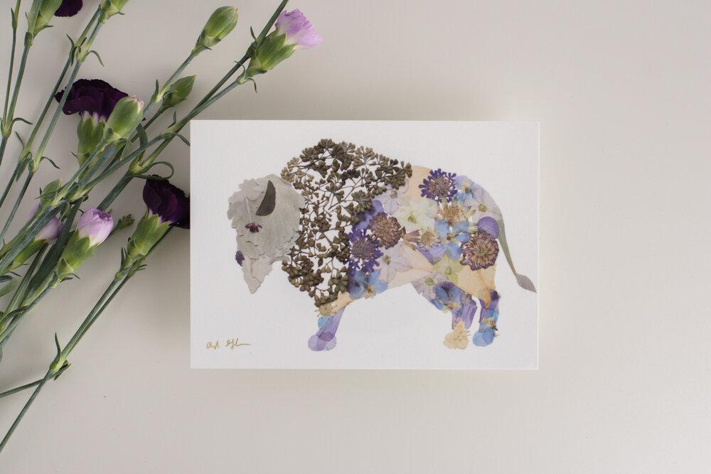Bison