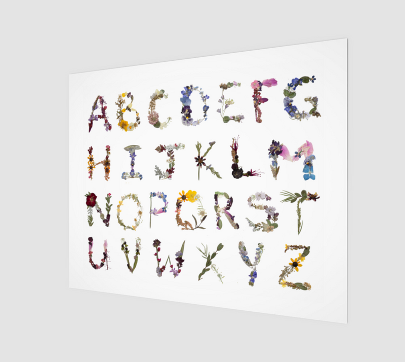 Alphabet